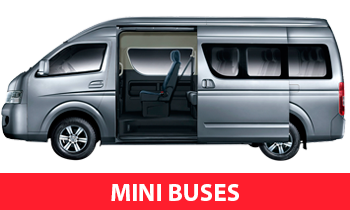 Mini Buses